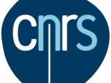 CNRS – LIA Positions