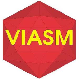 VIASM tuyển chọn ứng viên nghiên cứu cho năm 2018